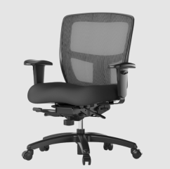 Friant Mid Zone Chair