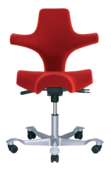 Ergocentric Capisco chair commercial business furniture